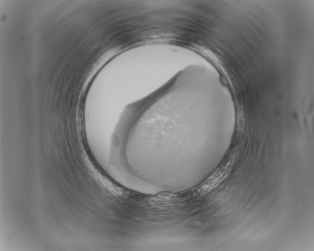 X0000070870859200607150119