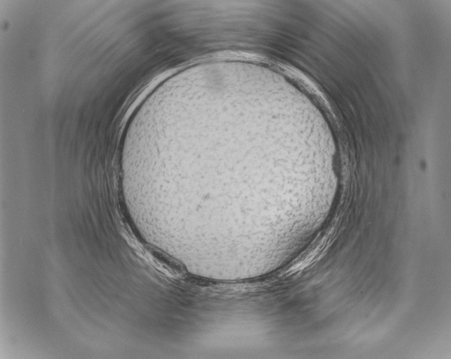 X0000070870860200607150119