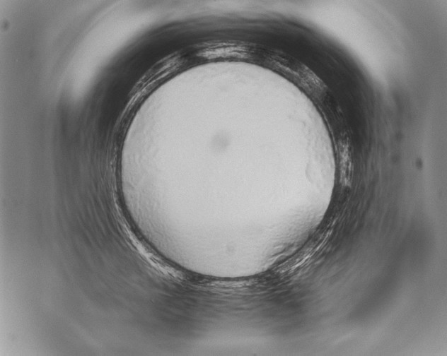 X0000070870861200607150119