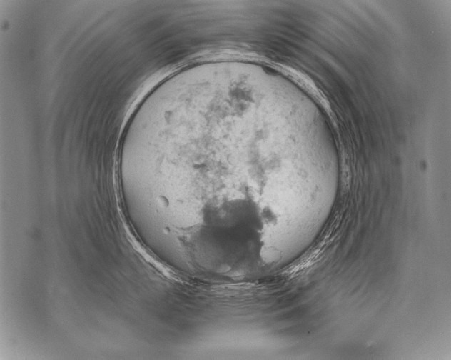 X0000070870863200607150119