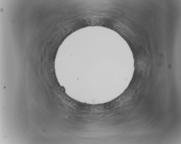 X0000070870865200607150119