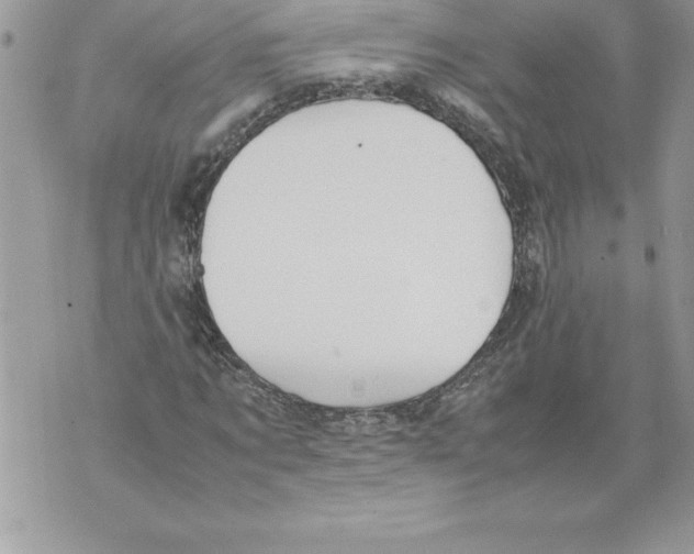 X0000070870869200607150119