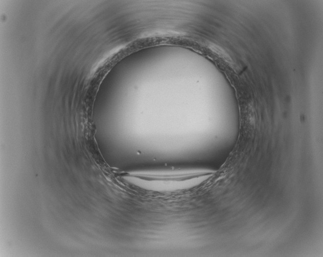 X0000070870872200607150119