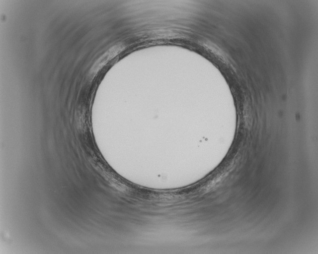 X0000070870873200607150119