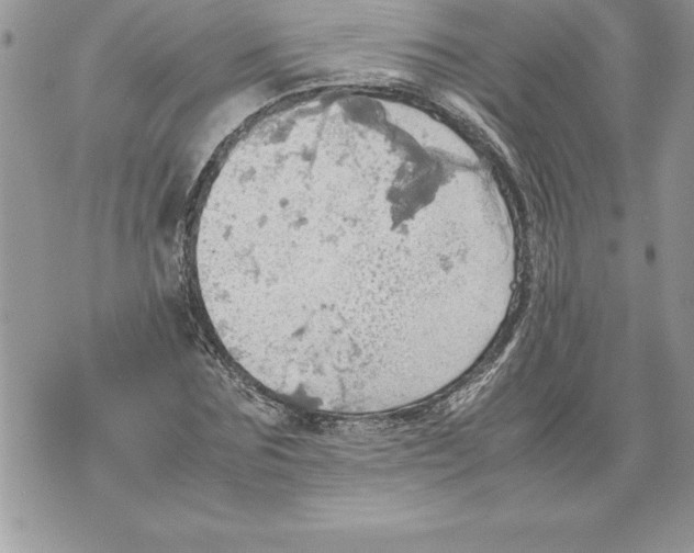 X0000070870875200607150119