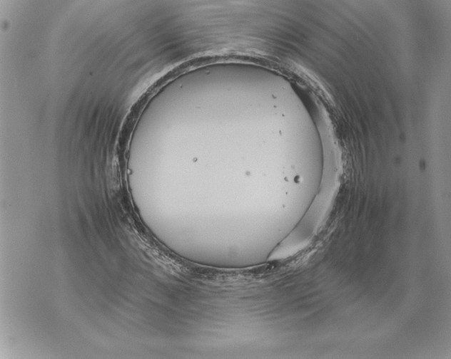 X0000070870876200607150118