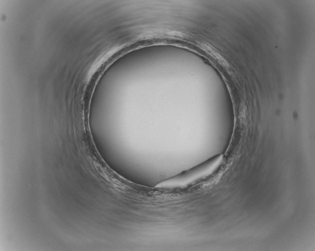 X0000070870877200607150118