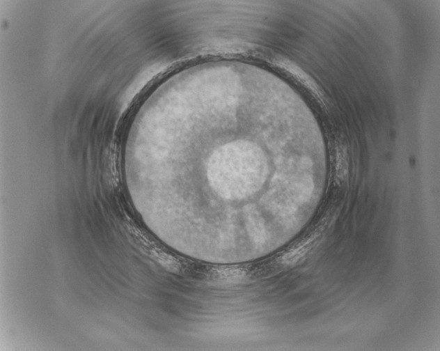 X0000070870878200607150118