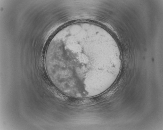 X0000070870879200607150118