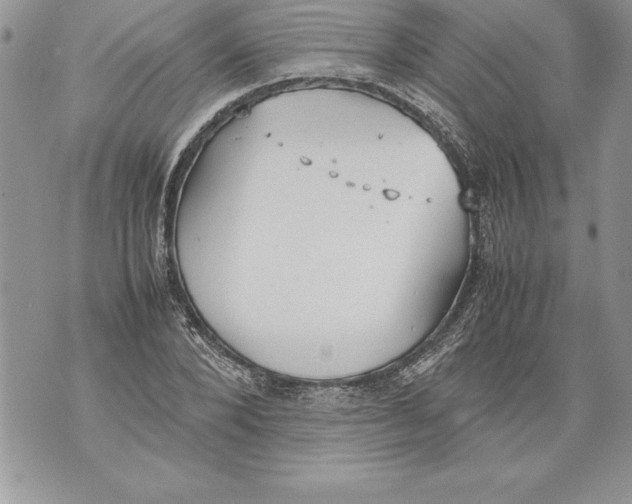 X0000070870880200607150118