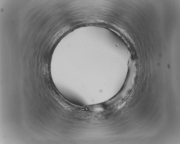 X0000070870881200607150118