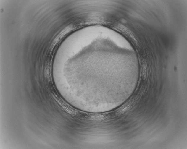 X0000070870882200607150118