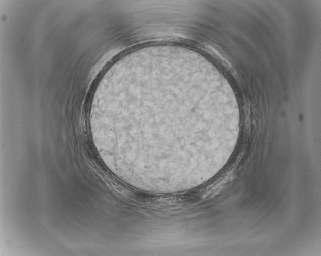 X0000070870883200607150118