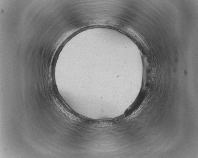 X0000070870884200607150118