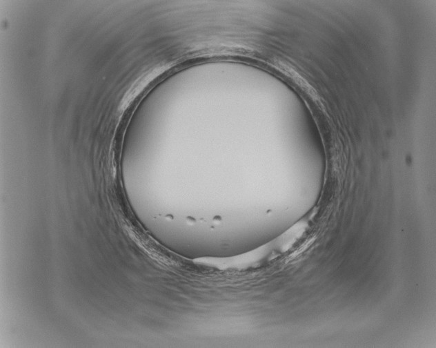 X0000070870885200607150118