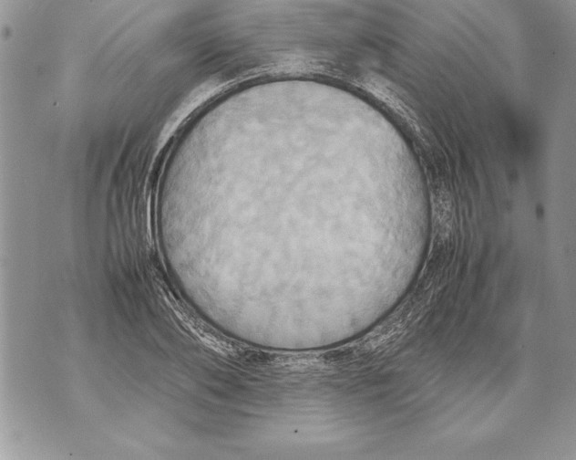 X0000070870886200607150118