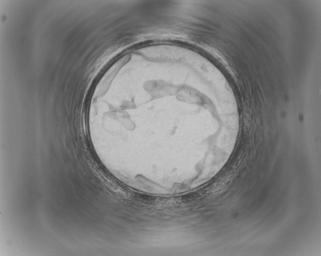 X0000070870887200607150118