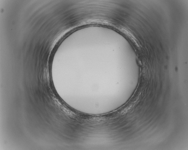 X0000070870888200607150118