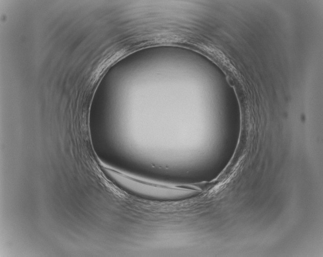 X0000070870889200607150118