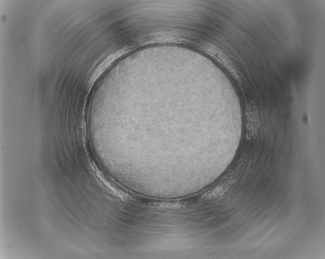 X0000070870890200607150118