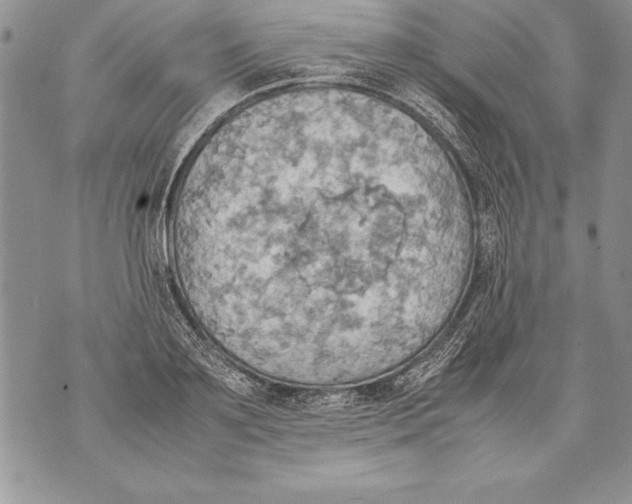 X0000070870891200607150118