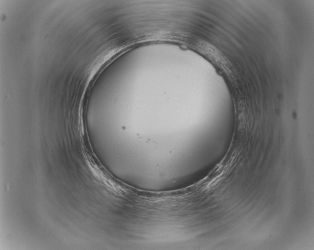 X0000070870892200607150118