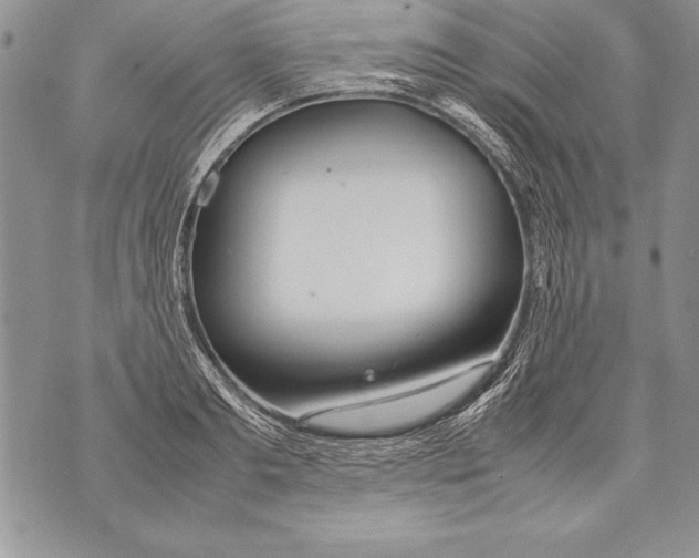 X0000070870893200607150118