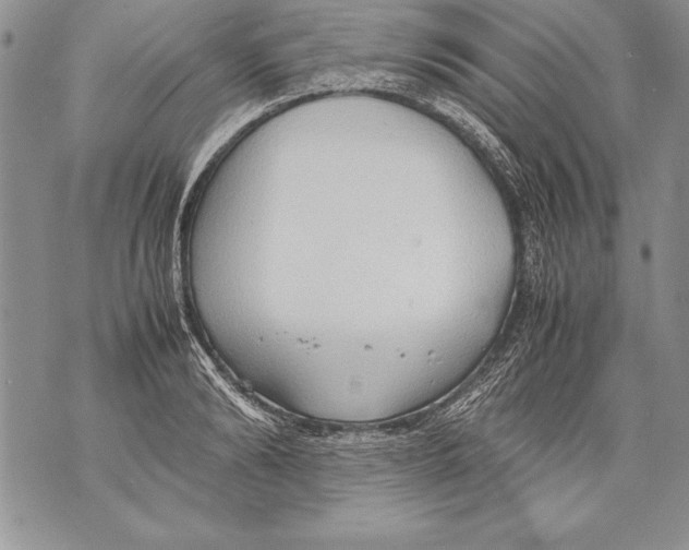 X0000070870894200607150118