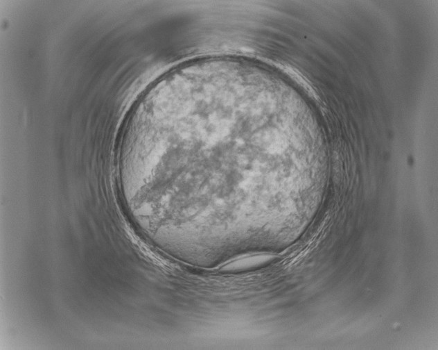 X0000070870895200607150118