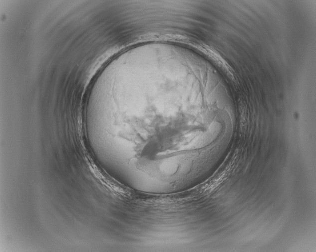 X0000070870896200607150118