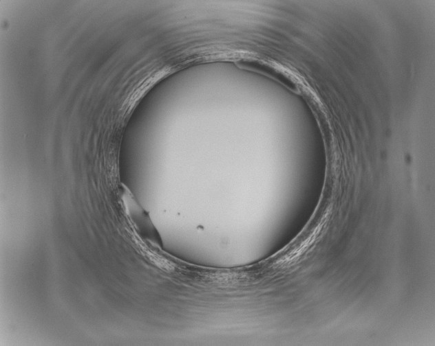 X0000070870897200607150118