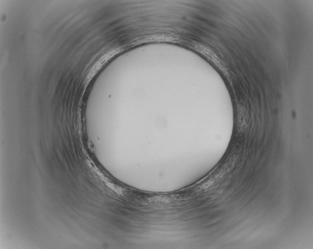 X0000070870898200607150118