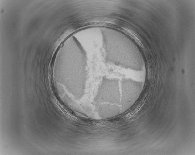 X0000070870899200607150118