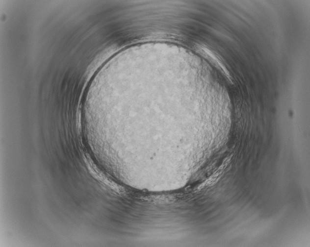 X0000070870900200607150118