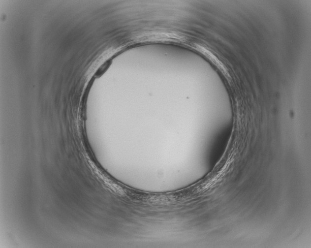 X0000070870901200607150118