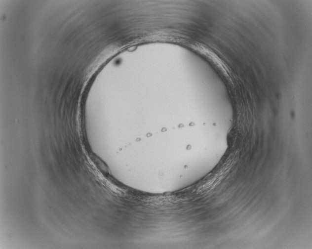 X0000070870902200607150118