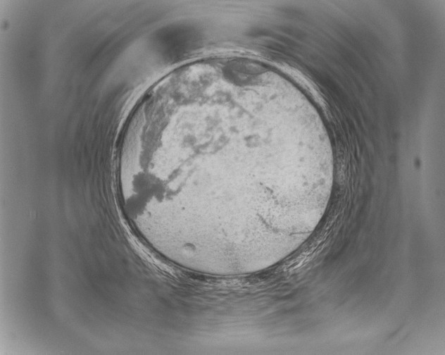 X0000070870903200607150118