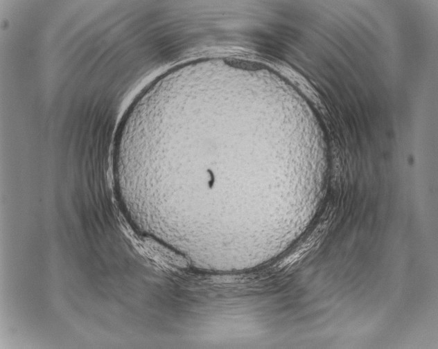 X0000070870904200607150118