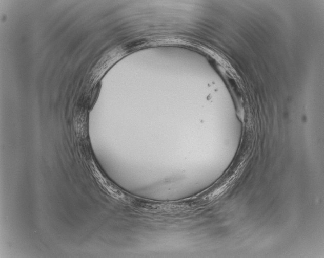 X0000070870905200607150118