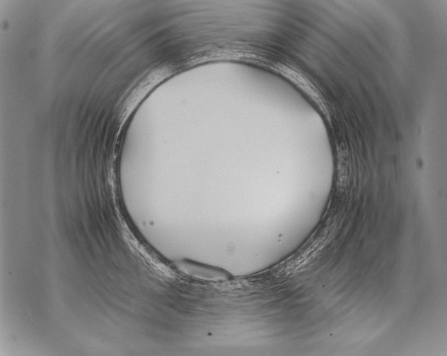 X0000070870906200607150118