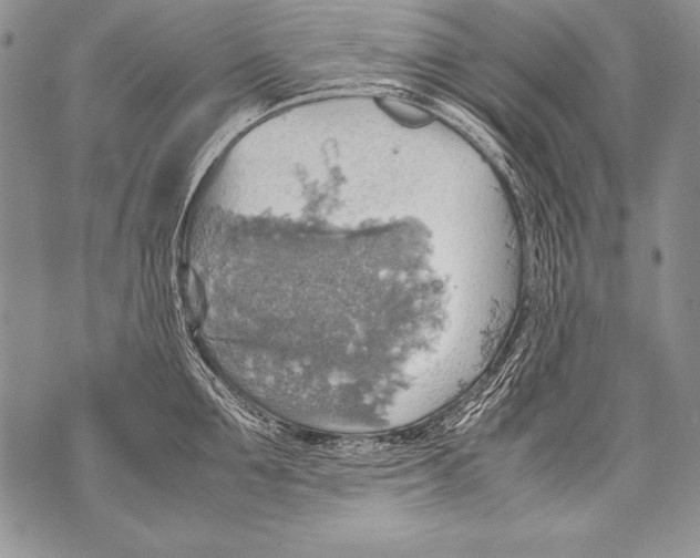 X0000070870907200607150118