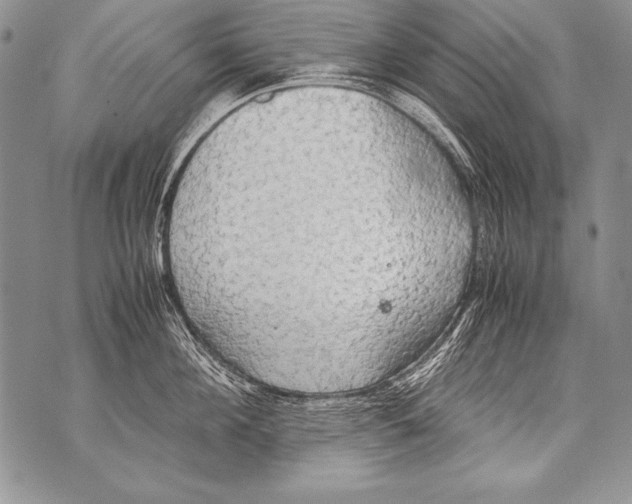 X0000070870908200607150118