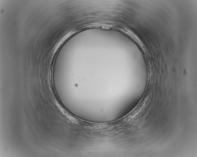 X0000070870909200607150118