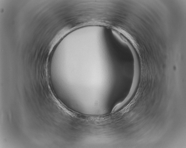 X0000070870910200607150118