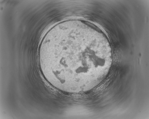 X0000070870911200607150118