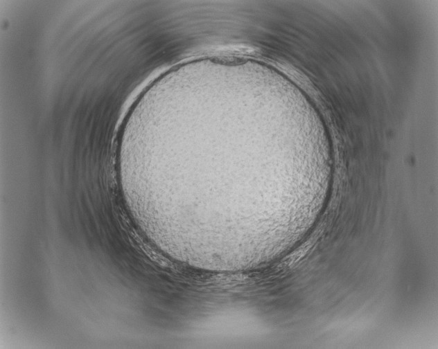 X0000070870912200607150118