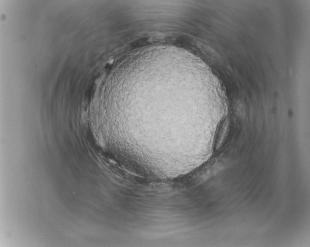 X0000070870914200607150117