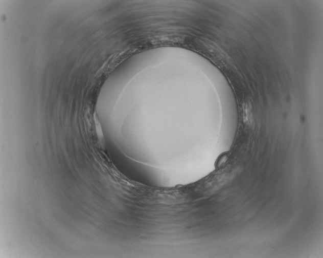 X0000070870915200607150117