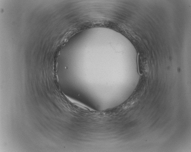 X0000070870916200607150117