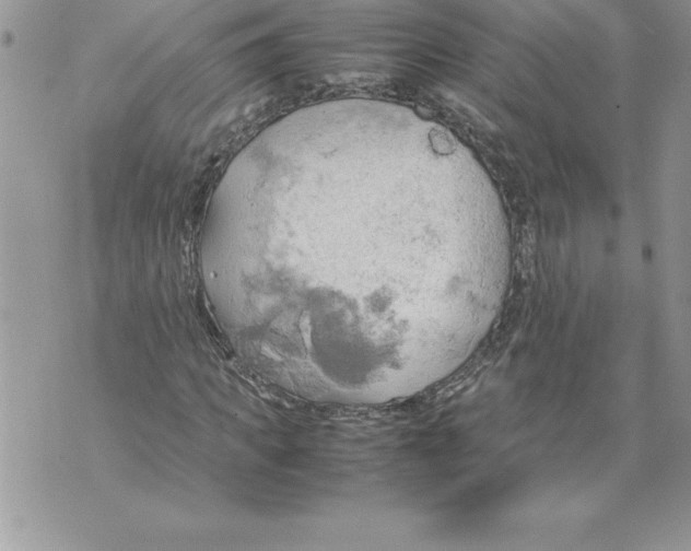 X0000070870917200607150117